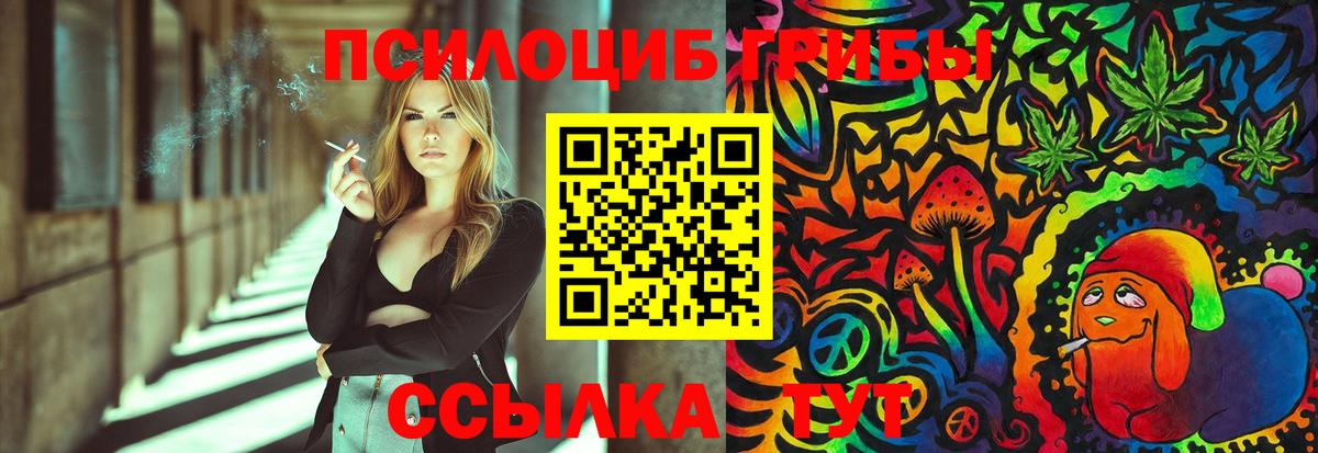 Галлюциногенные грибы Psilocybine cubensis  Галлюциногенные грибы ЛСД  цены   Новоалтайск  Вход с VPN 